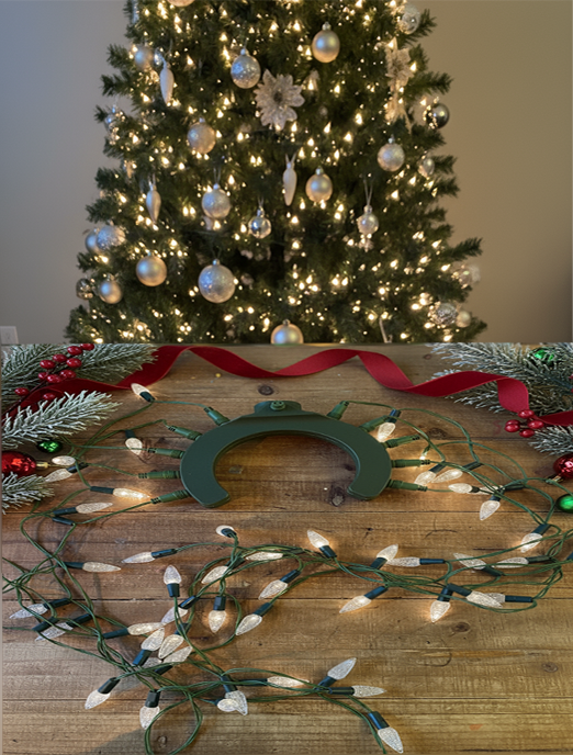 Pre order for 2026: Extra Ring (1 ring and 1 connector wire)