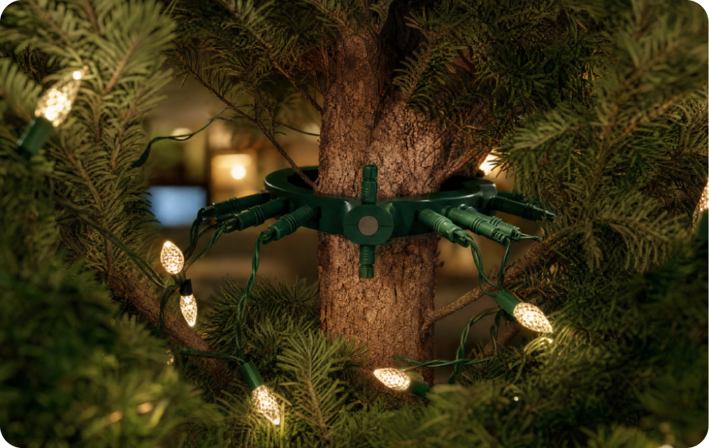 2. Place the rings around the trunk