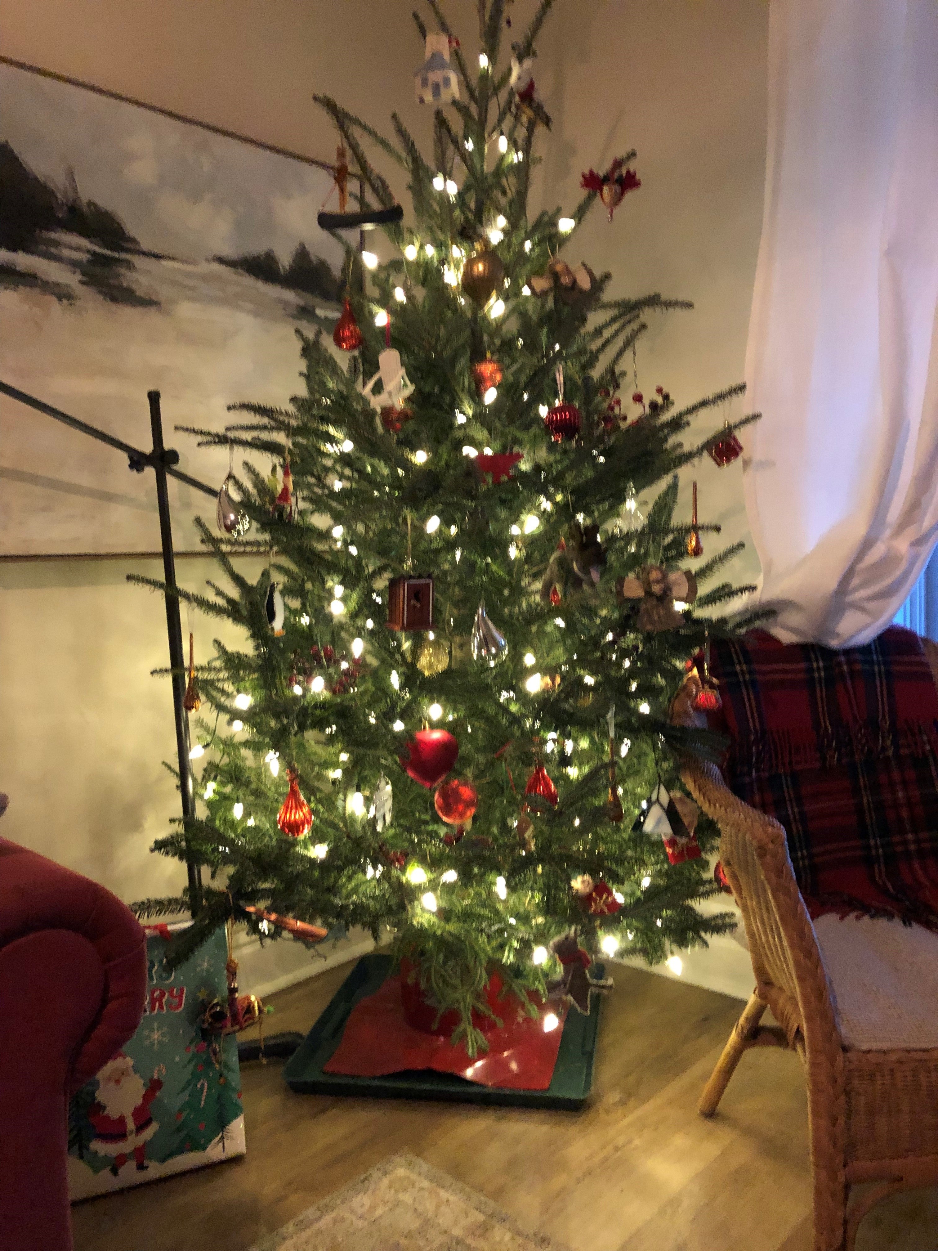 Ring Tree Kit: 240 LED White Lights – Ring Tree Lighting